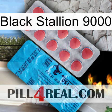 Black Stallion 9000 new14
